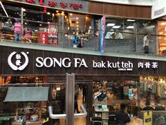 -松發肉骨茶(牛车水店)
