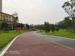 -府河摄影公园