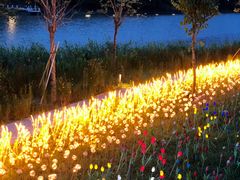 -怡海公园(桂城街道)