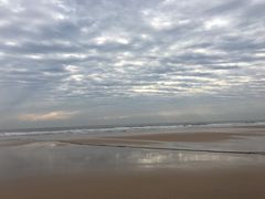 -日照海滨国家森林公园