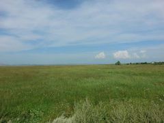 android_upload_pic-石家庄市动物园