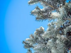 -沈阳职业技术学院