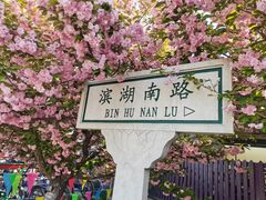 -石家庄市植物园