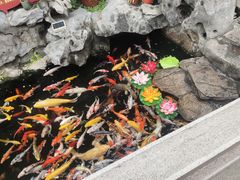 -西林禅寺