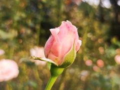 -共青国家森林公园-售票处