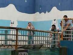 -北戴河圣蓝海洋公园