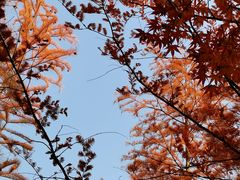 -长广溪湿地公园