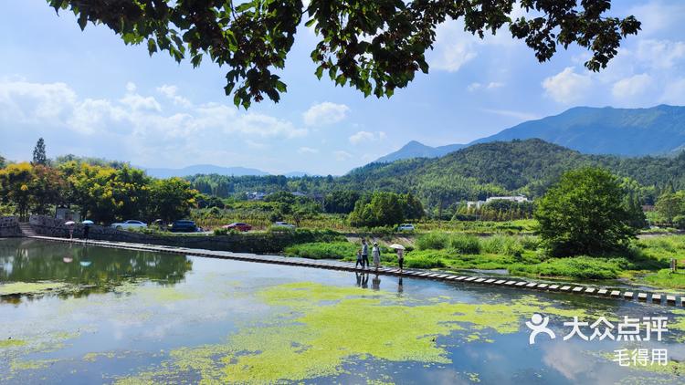 鸬鸟镇的鱼鳞坝