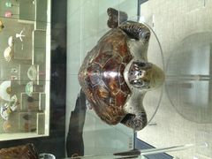 IMG_1575-中国扇博物馆