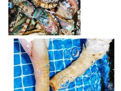 象拔蚌-江杨农产品批发市场