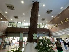 -广州市第一人民医院(院本部)