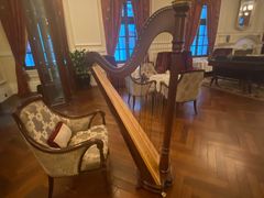 -Salon de Ville浦江汇(上海外滩华尔道夫酒店店)