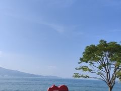 -杨梅坑