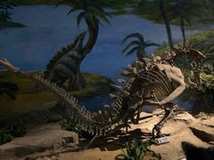 -自贡恐龙博物馆