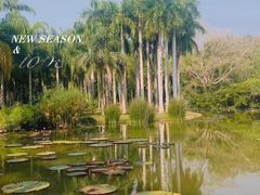-中国科学院西双版纳热带植物园