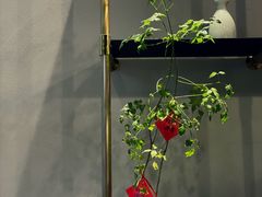 -Home Cafe(水榭春天店)