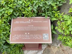 -檀园