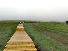 -御道口草原森林风景区