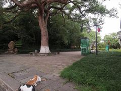 -江心屿景区