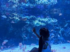 -海合安成都极地海洋公园