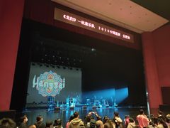 -合肥大剧院