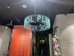 -IDOL-PLUS