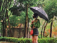 -重庆市江北嘴中央商务区中央公园