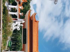 -深圳仙湖植物园