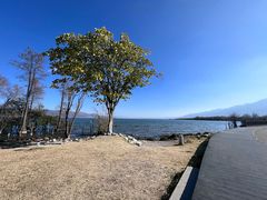 -大理洱海
