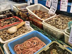 -都市阳光海鲜城(青山湖店)