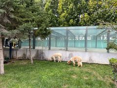 -廊坊固安福朋喜来登酒店