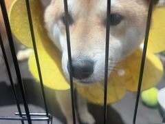 -呼吸沉浸式剧场(甘露园店)