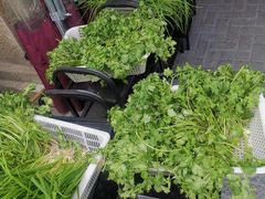 -周幺妹重庆老火锅(银泰城总店)