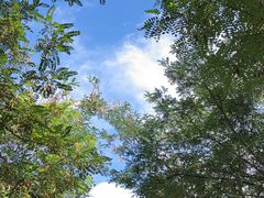 -西青郊野公园