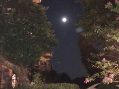 -鹤山碧桂园凤凰酒店