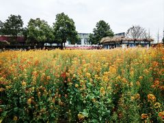 -洪湖家庭农场·团建·露营·会议