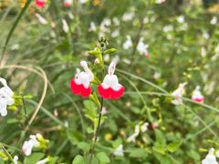 -宁波儿童公园(鄞州区)