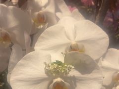 -浅深Cheersum(曹杨店)