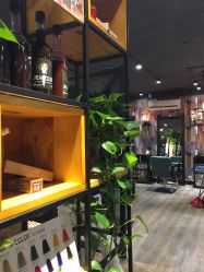 点击看大图 -藤野造型