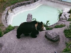 -成都动物园