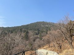 -香山公园