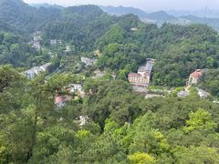 -大金鹰园