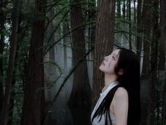 -东湖落雁景区