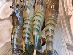 -Thai Basil罗勒叶泰式餐厅(时代天街店)