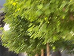 -西安化觉巷清真大寺