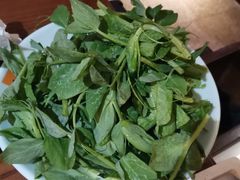 豆苗-佬土鹅肠火锅(解放路店)