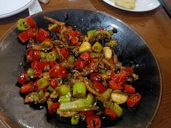 -邵年鸽(杨庄店)