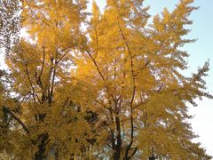 -西南交通大学(九里校区)
