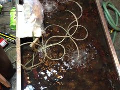 iphone_upload_pic-风味小吃(浦东南路2368)