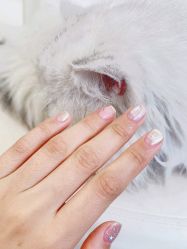 -柚子•猫美睫美甲
